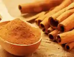 cinnamon extract